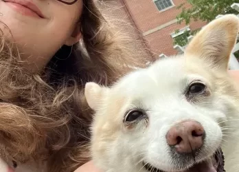 High School Senior Helps Senior Dogs Shine