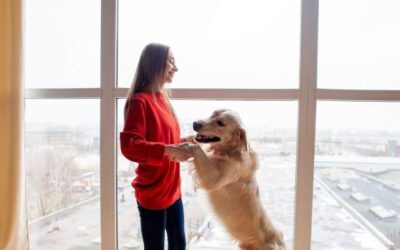 Golden Retriever Watches Parents Practice First Dance with Look of Pure Love