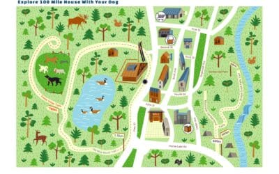 Promoting Local Tourism One Dog Stroller Ride at a Time