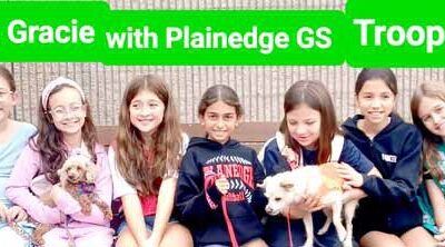 Gracie and Frankie go from rescue pups to role models