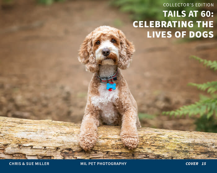 ‘Tails At 60: Celebrating The Lives Of Dogs’: I Captured 50 Dogs For My Photo Book