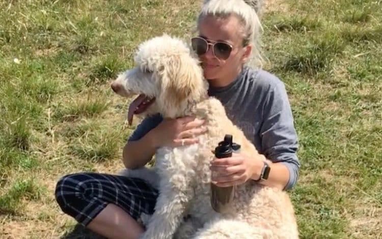 Number of dogs someone can walk should be restricted, coroner suggests