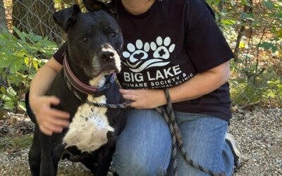 Animal shelter manager to sleep in kennel overnight to help senior dog get adopted