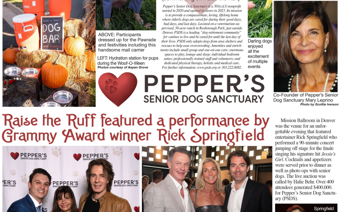 FLAIR – Falling in love with senior dogs at two clever events to benefit Pepper’s Senior Dog Sanctuary