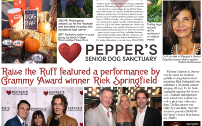 FLAIR – Falling in love with senior dogs at two clever events to benefit Pepper’s Senior Dog Sanctuary