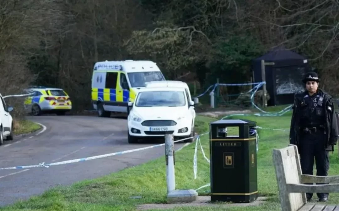 Call for action after dog walker mauled to death
