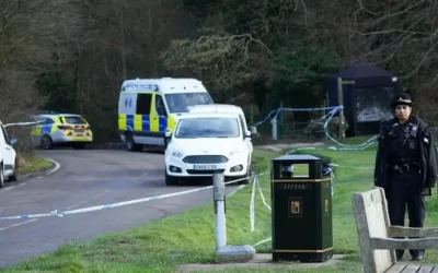 Call for action after dog walker mauled to death