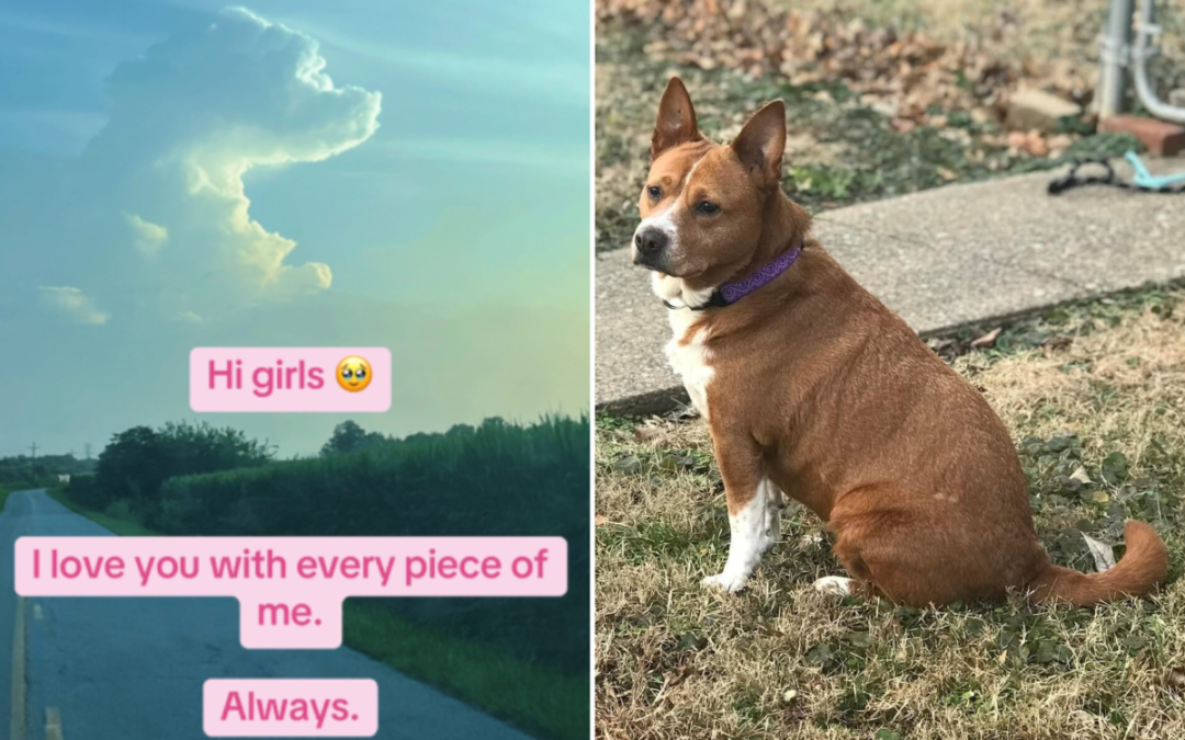 Woman Grieving Her Dogs Doesn’t Believe in ‘Signs’—Then Looks Up at the Sky