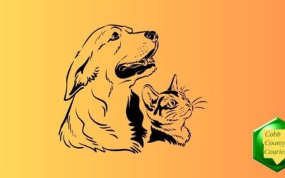 Special needs shelter dogs deserve love too