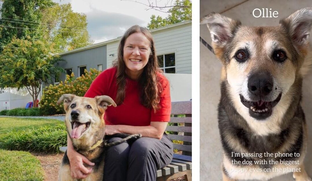 Sweet Senior Dog With Dementia Gets a Forever Home in Adorable Foster Fail