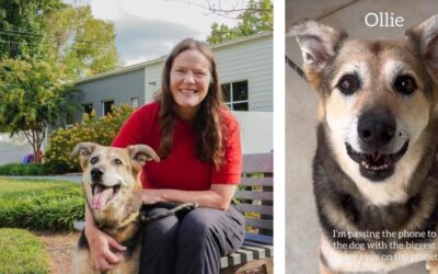 Sweet Senior Dog With Dementia Gets a Forever Home in Adorable Foster Fail