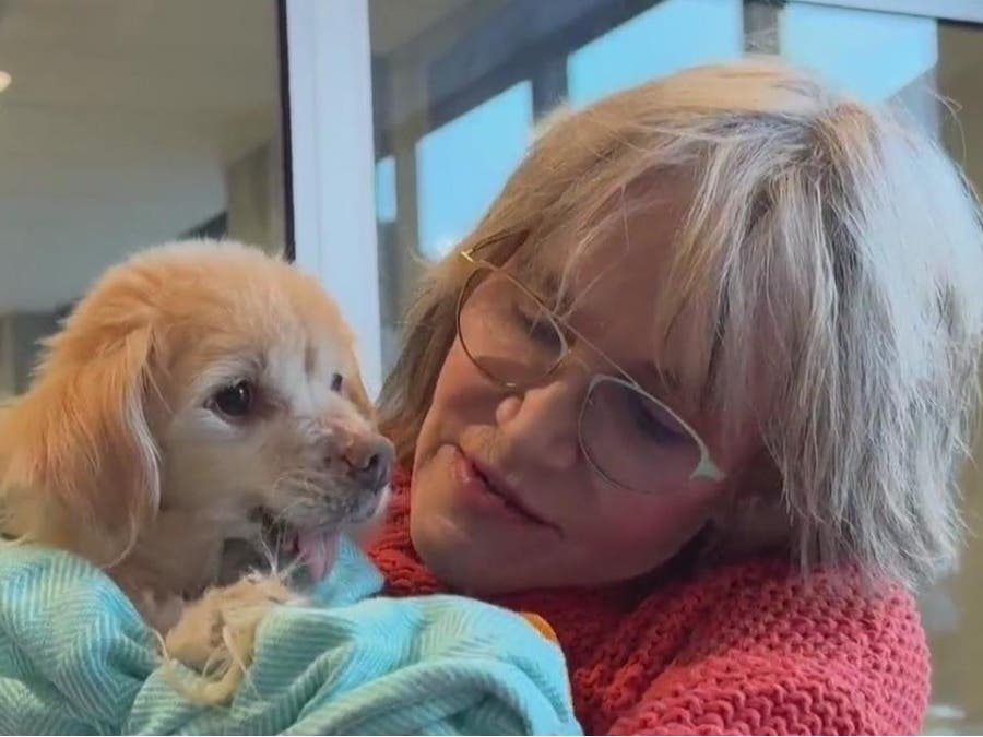 San Francisco-Based Senior Dog Rescue Pushes For More Adoptions This Holiday Season