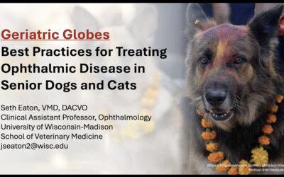 Geriatric Globes: Best Practices for Treating Ophthalmic Disease in Senior Dogs and Cats