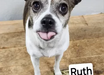 Ruth