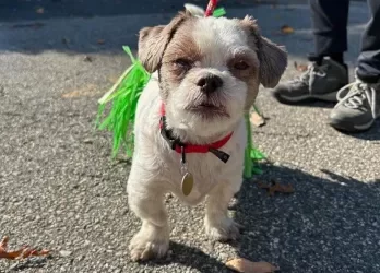 Ethel