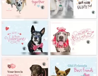 Send Senior Sweethearts for Valentine’s Day
