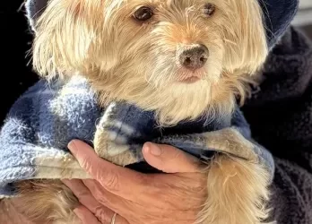 Benny