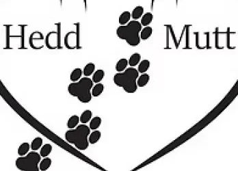 Hedd Mutt