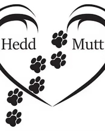 Hedd Mutt