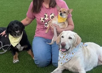 Giving Older Dogs a Chance to Shine: $1.57 Million in Grants Fuel New Beginnings