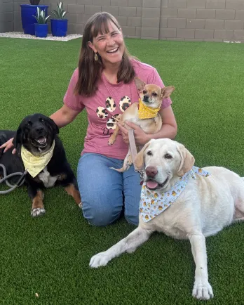 Giving Older Dogs a Chance to Shine: $1.57 Million in Grants Fuel New Beginnings