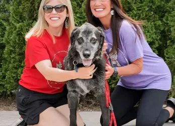 Full Circle Rescue and Sanctuary