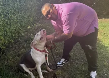 Anything’s Pawsible Rescue
