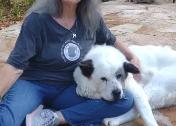 Senior Dogs Shine on Screen: Grey Muzzle Organization Featured on Positiv TV During “Friends Fur-Ever” Month