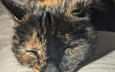 What’s saving your life right now?