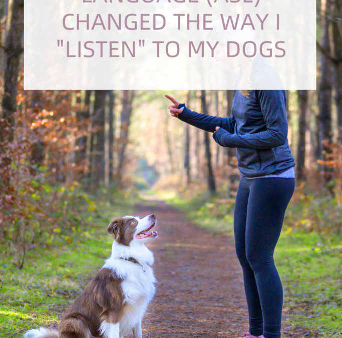 How American Sign Language Changed the Way I “Listen” to My Dogs