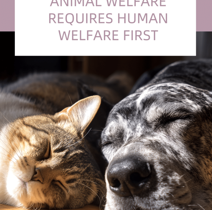 Animal welfare requires human welfare first