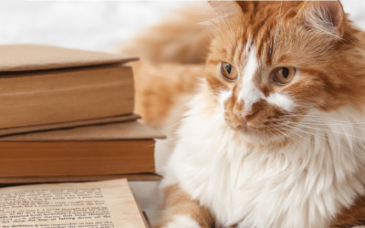 7 Books for People Who Prefer Animals to Humans