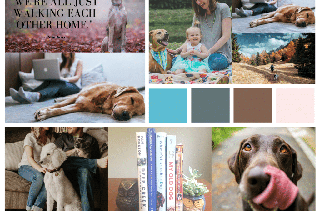 Reflections, Giveaways, and How You Can Help “For the Love of Dog”