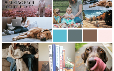 Reflections, Giveaways, and How You Can Help “For the Love of Dog”
