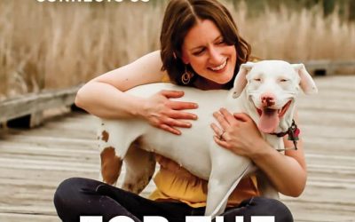 For the Love of Dog Turns ONE!
